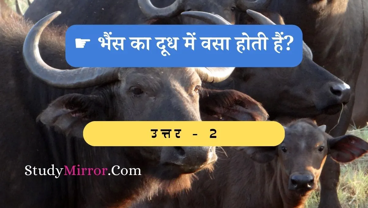Most Important GK Questions In Hindi